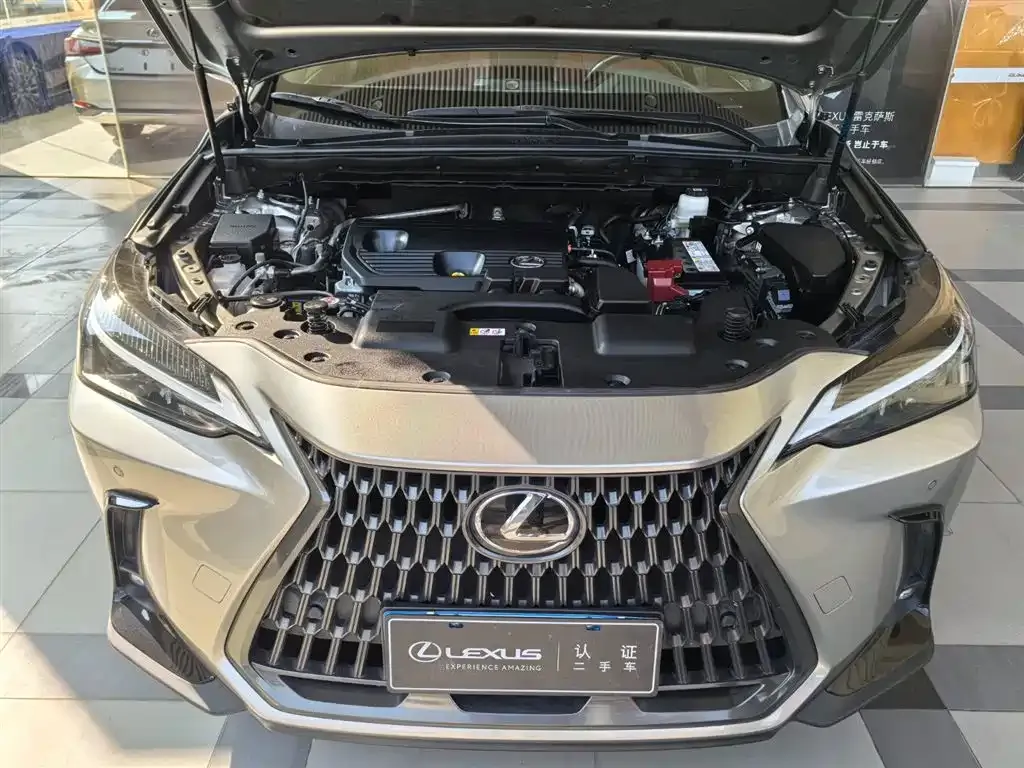 Lexus NX 2023 из CN, фото 7