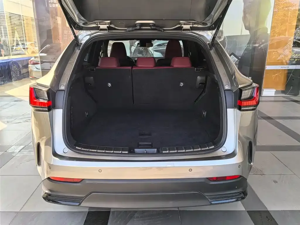 Lexus NX 2023 из CN, фото 4