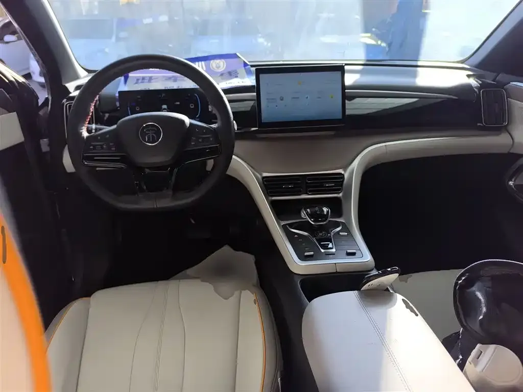 BYD Pro New Energy 2024 из CN, фото 10