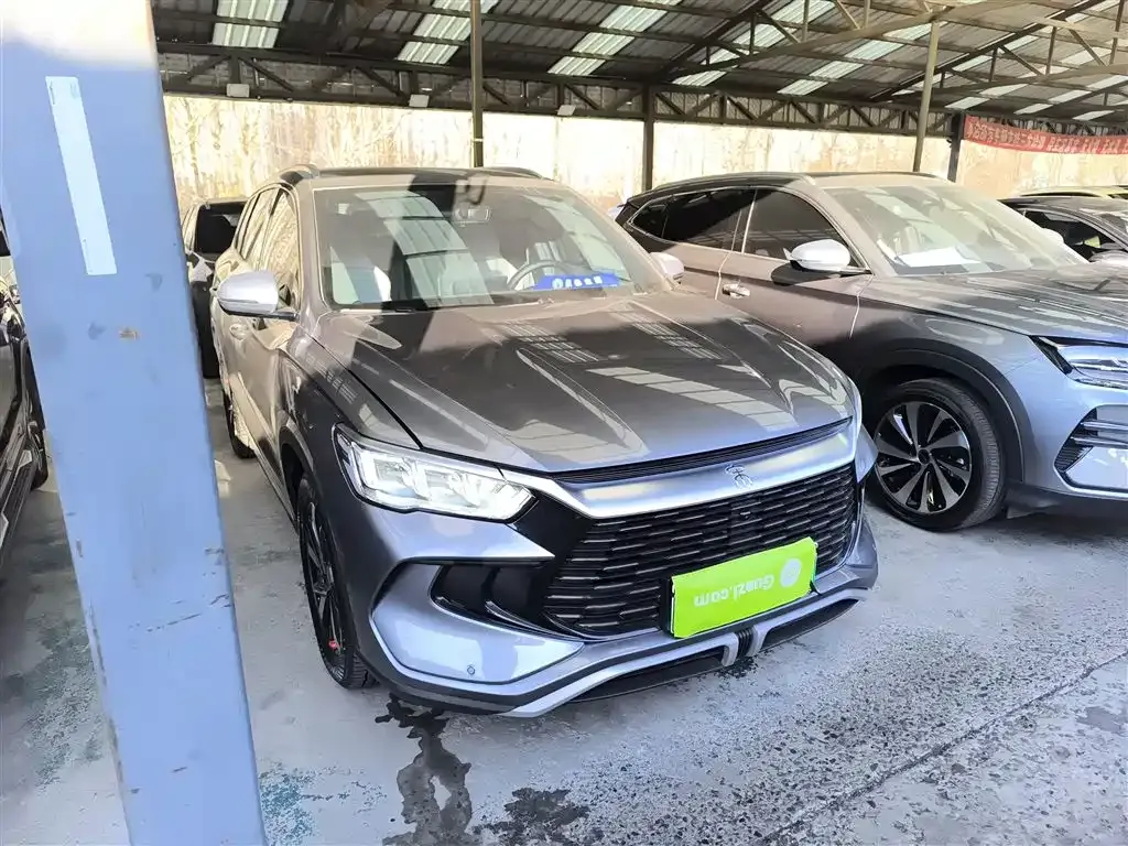 BYD Pro New Energy 2024 из CN, фото 4