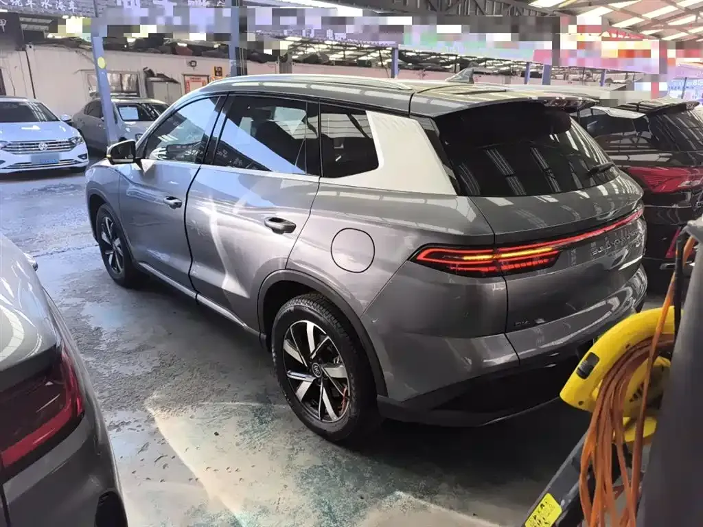 BYD Pro New Energy 2024 из CN, фото 5