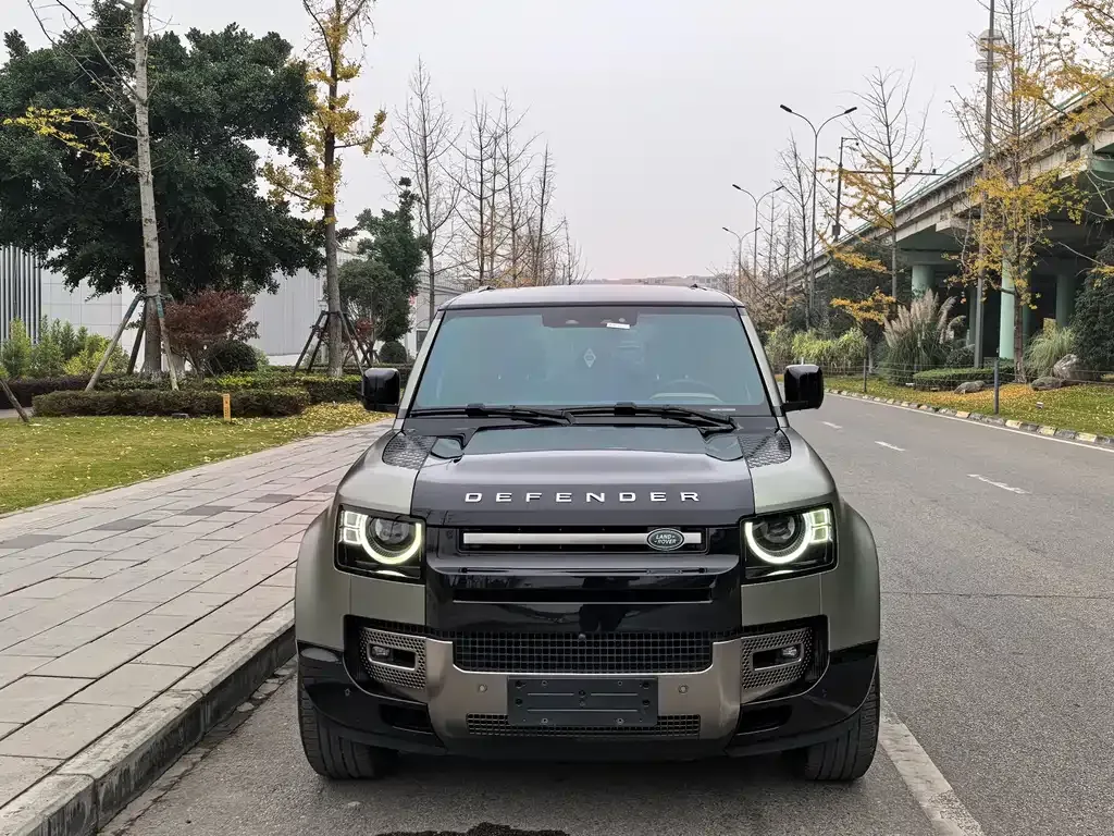 Land Rover Defender 2021 из CN, фото 6