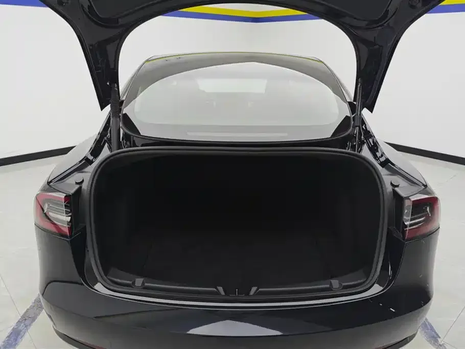 Tesla Model 3 2023 из CN, фото 3