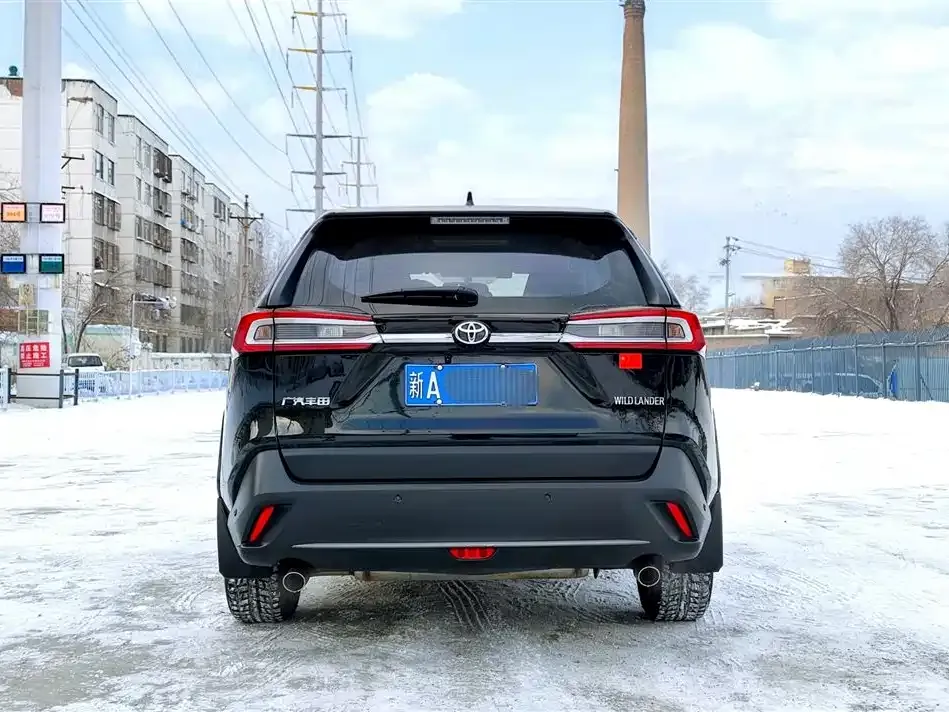 Toyota Wildlander 2021 из CN, фото 5