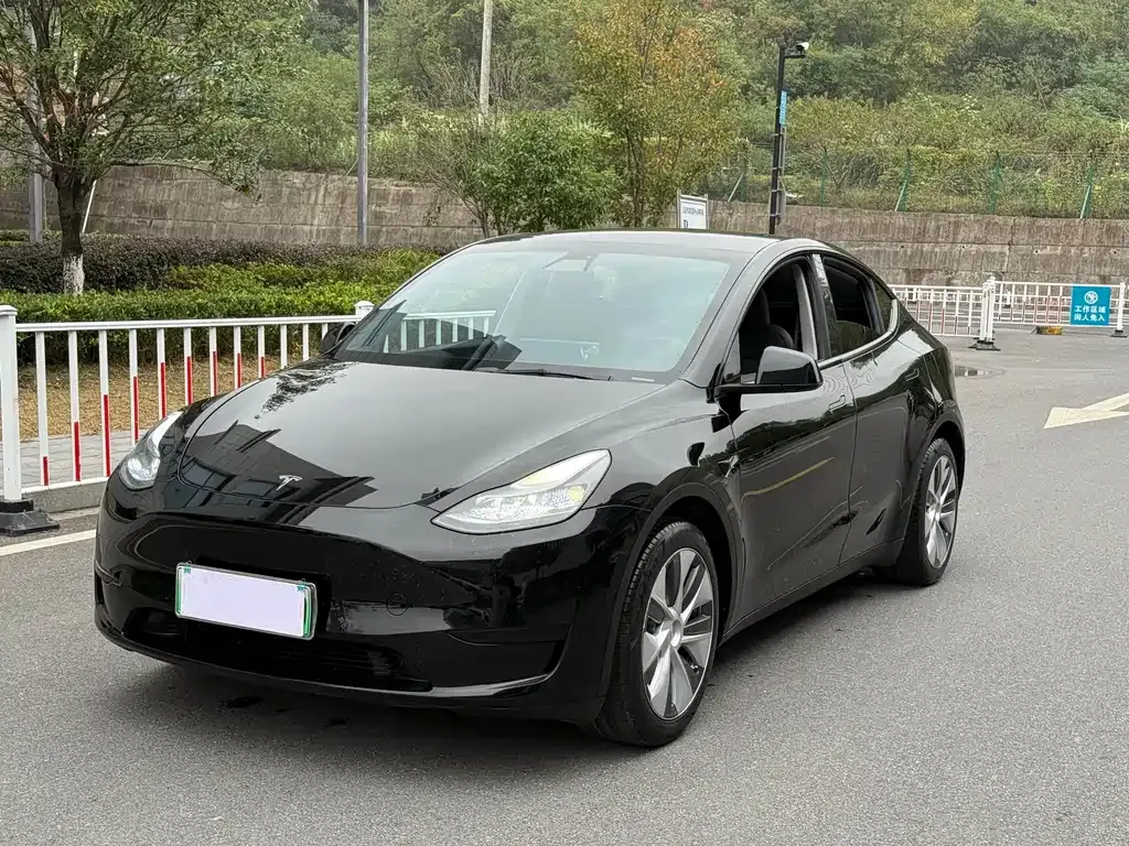 Tesla Model Y 2022 из CN, фото 1