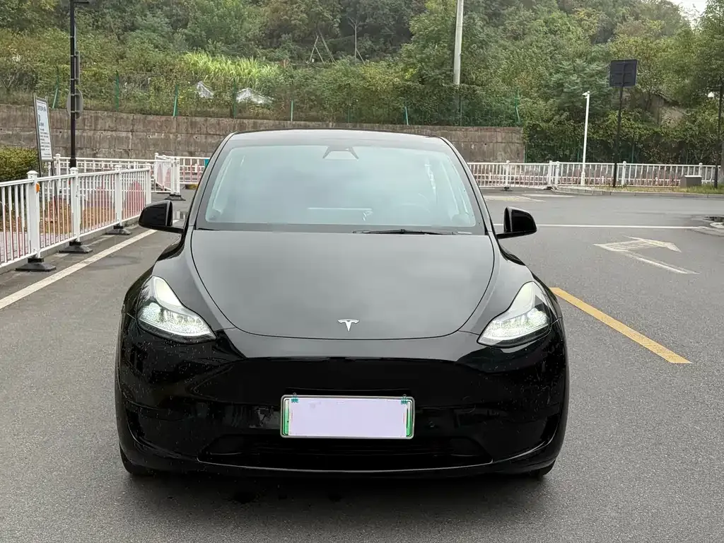 Tesla Model Y 2022 из CN, фото 2