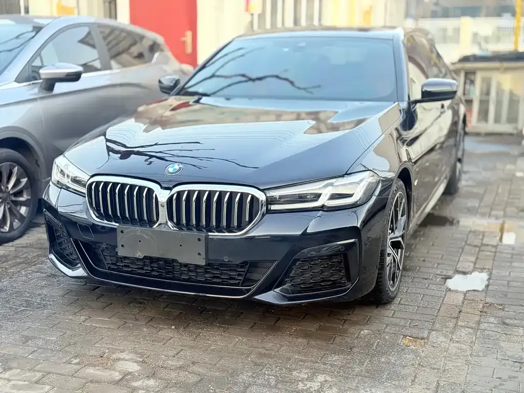 BMW 5 Series (Import) — фото 1
