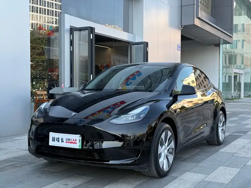 Tesla Model Y 2023 из CN, фото 1
