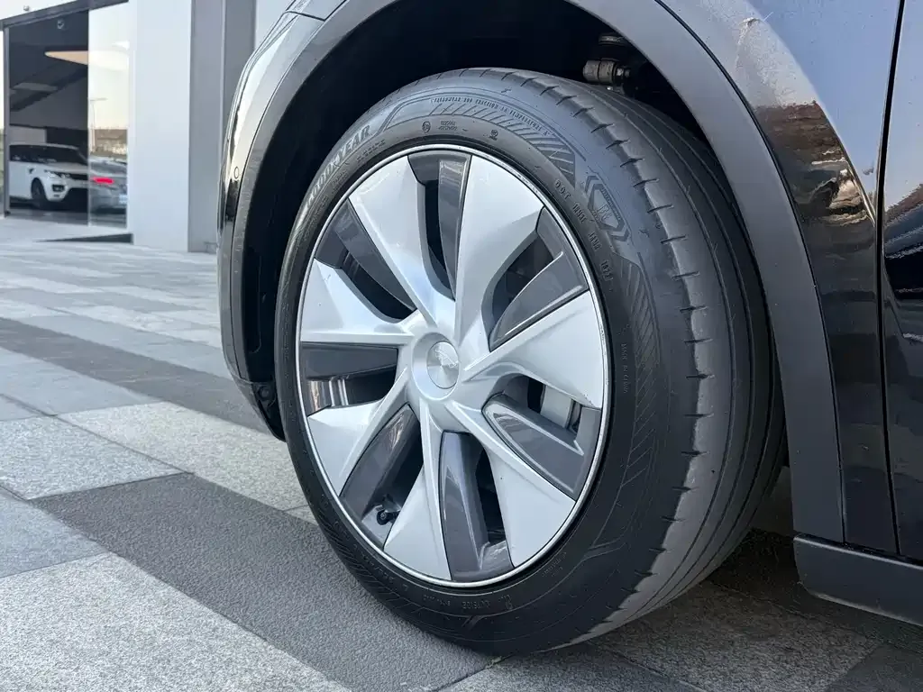 Tesla Model Y 2023 из CN, фото 5