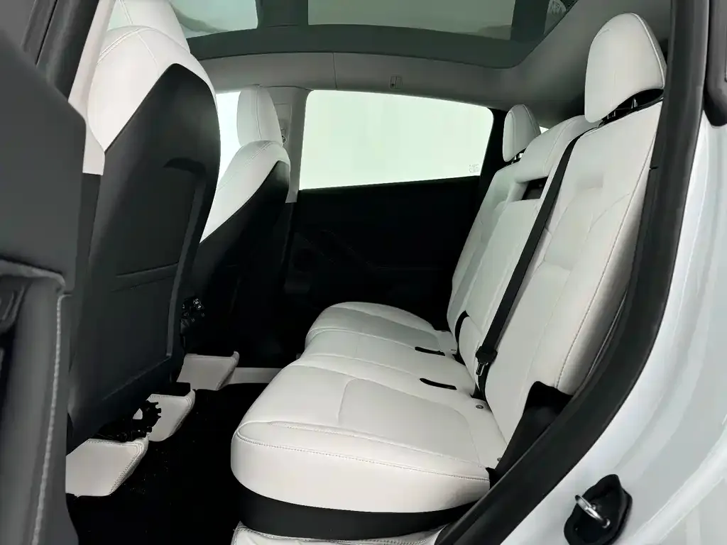 Tesla Model Y 2024 из CN, фото 2