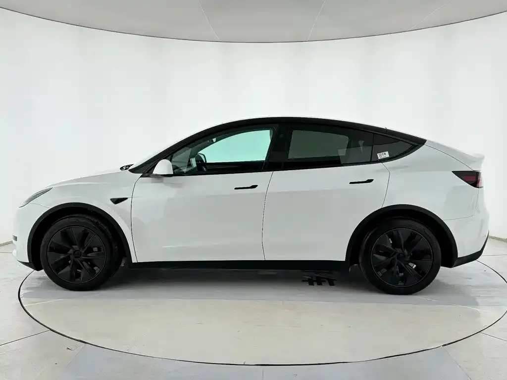 Tesla Model Y 2024 из CN, фото 4