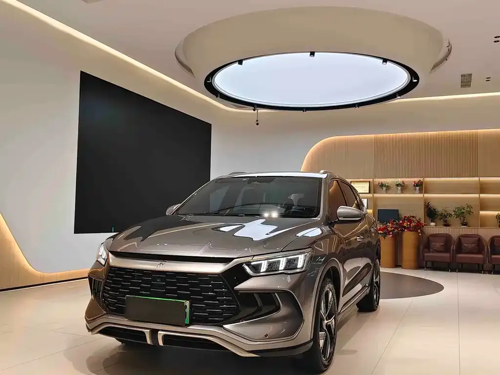 BYD Pro New Energy 2024 из CN, фото 1
