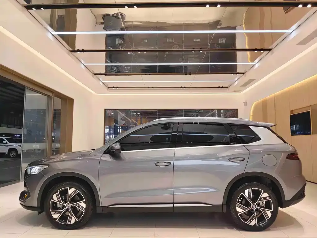 BYD Pro New Energy 2024 из CN, фото 10