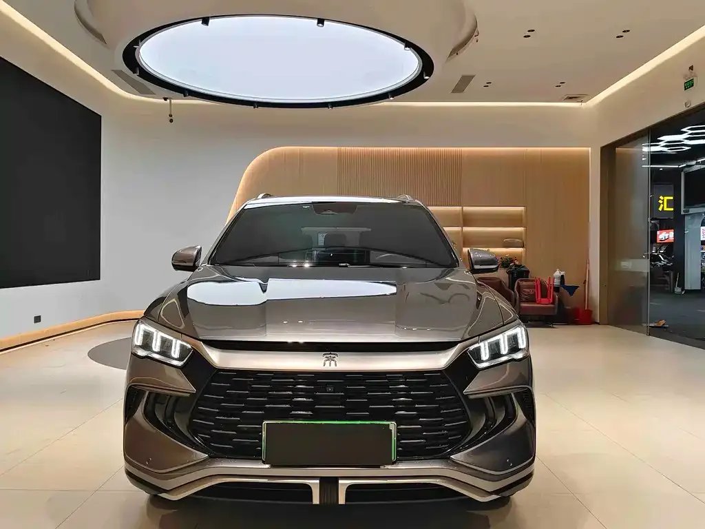 BYD Pro New Energy 2024 из CN, фото 9