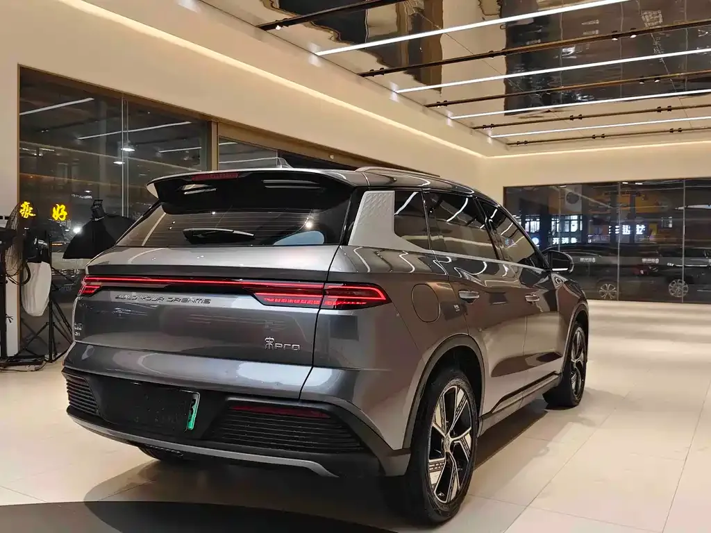 BYD Pro New Energy 2024 из CN, фото 7