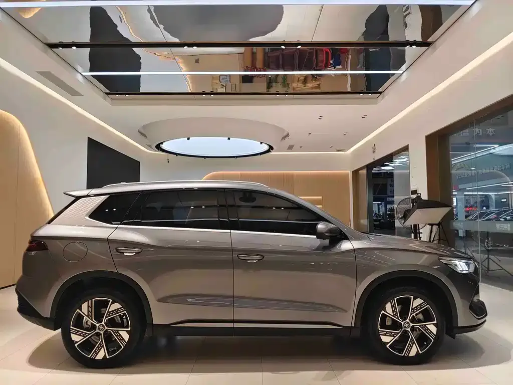 BYD Pro New Energy 2024 из CN, фото 6