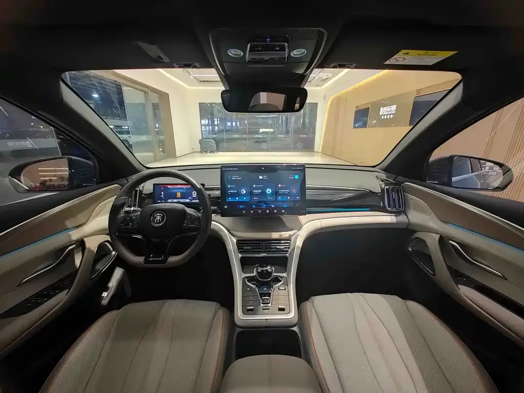 BYD Pro New Energy 2024 из CN, фото 8