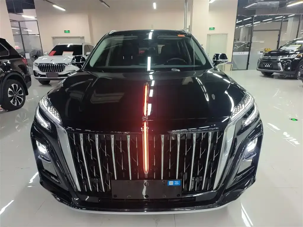 Hongqi HS3 PHEV 2025 из CN, фото 9