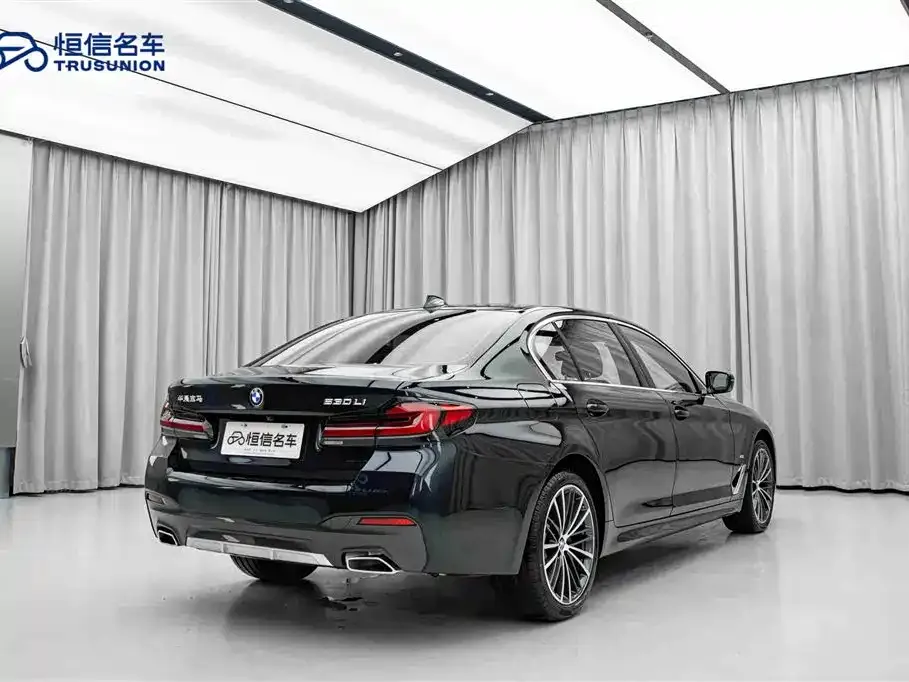 BMW 5 Series 2024 из CN, фото 8