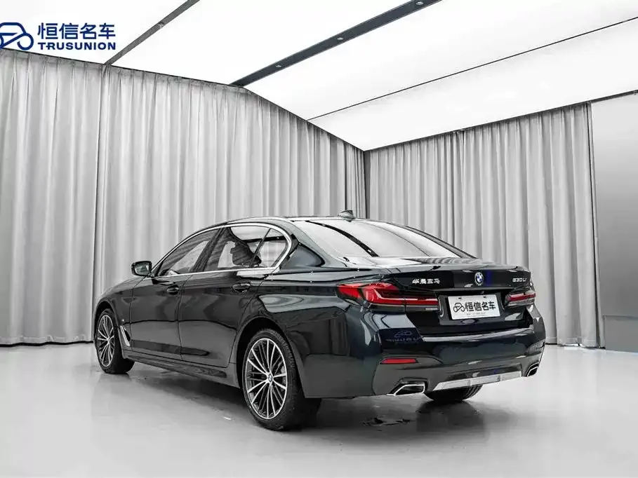 BMW 5 Series 2024 из CN, фото 9