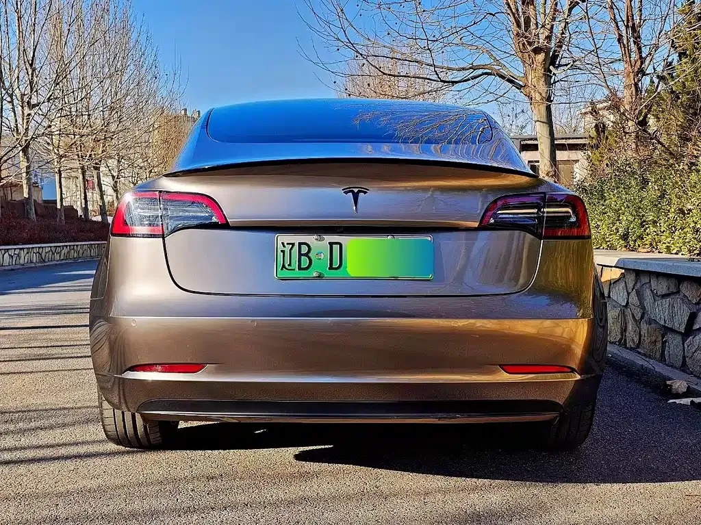 Tesla Model 3 2023 из CN, фото 4