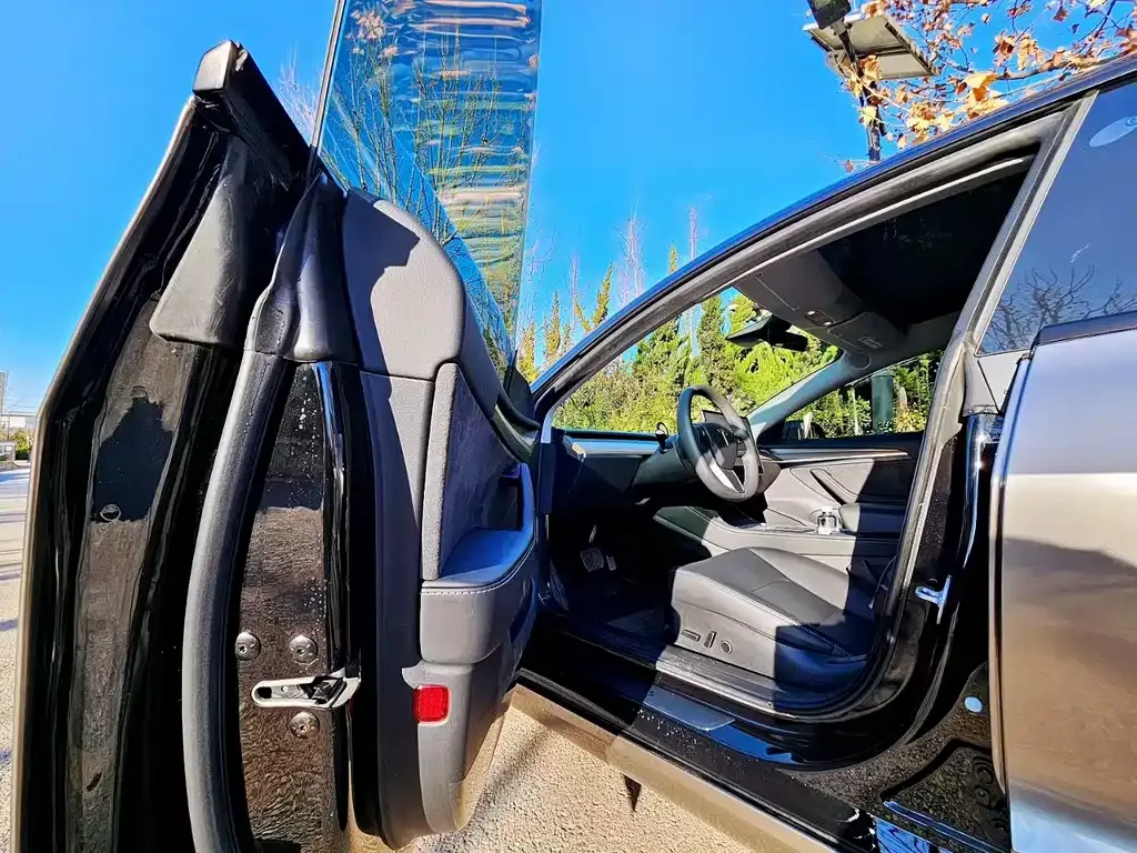 Tesla Model 3 2023 из CN, фото 3
