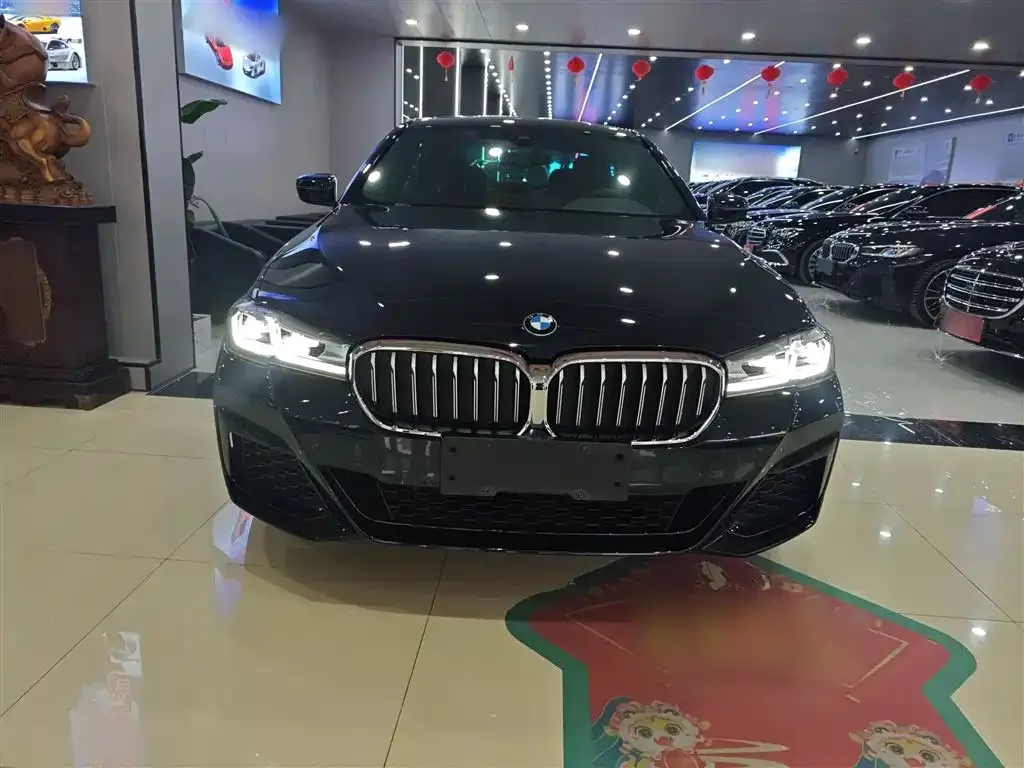 BMW 5 Series 2021 из CN, фото 10