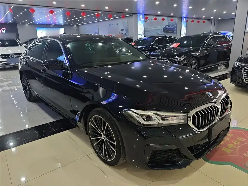 BMW 5 Series 2021 из CN, фото 5