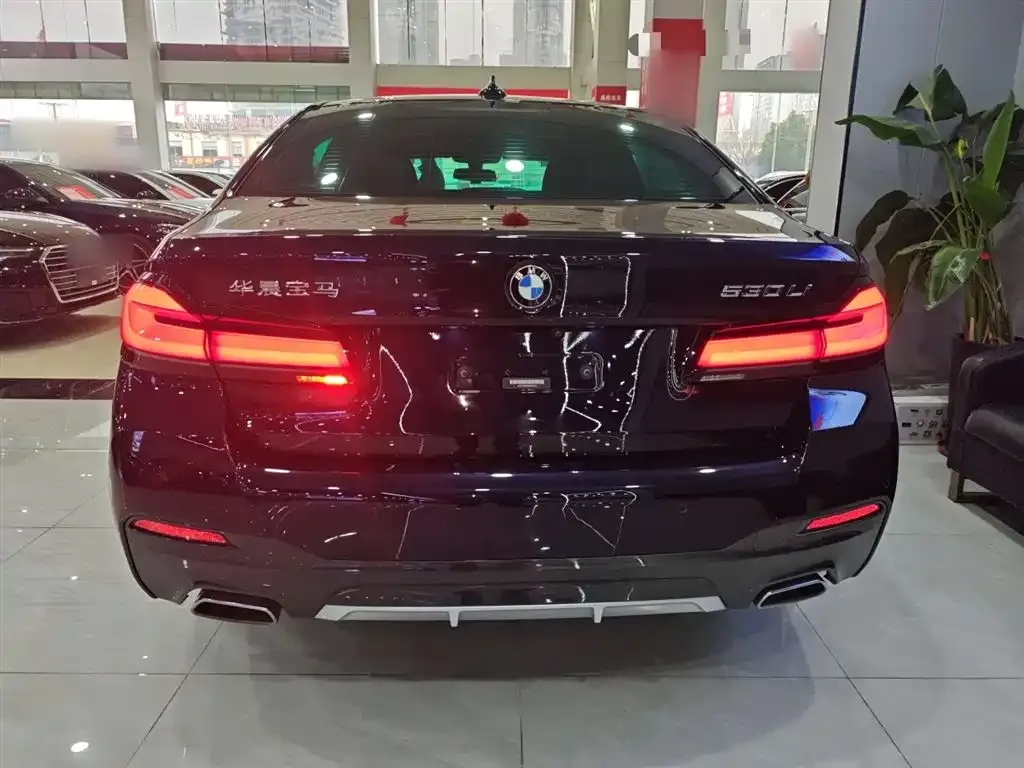 BMW 5 Series 2021 из CN, фото 7