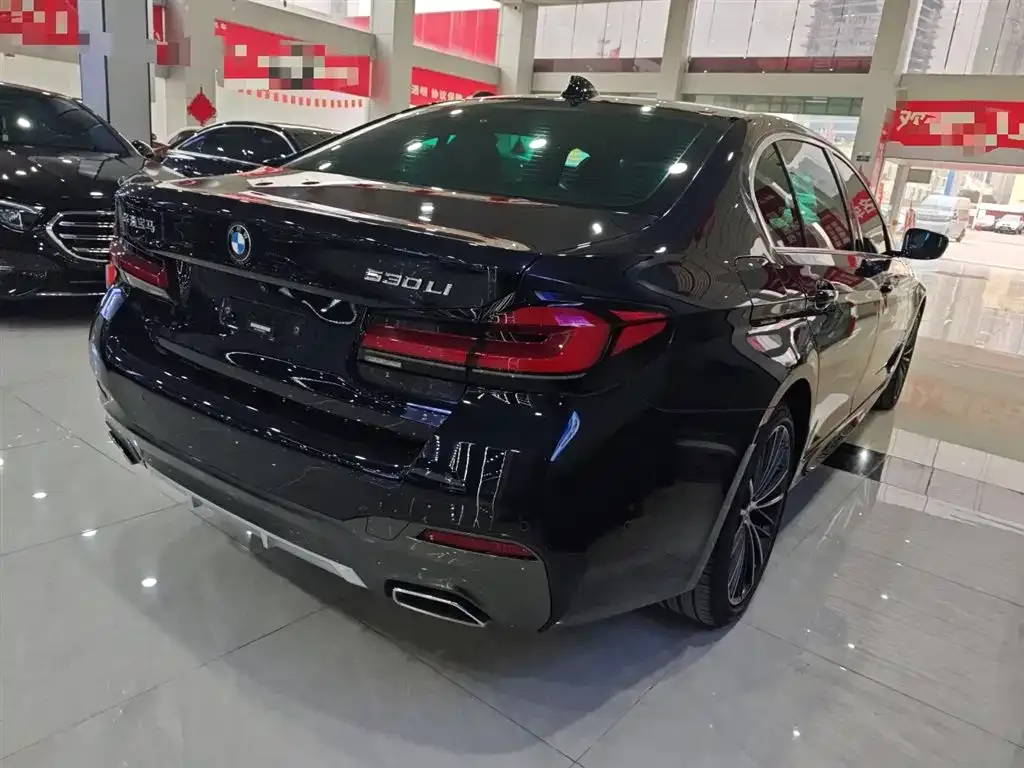 BMW 5 Series 2021 из CN, фото 6