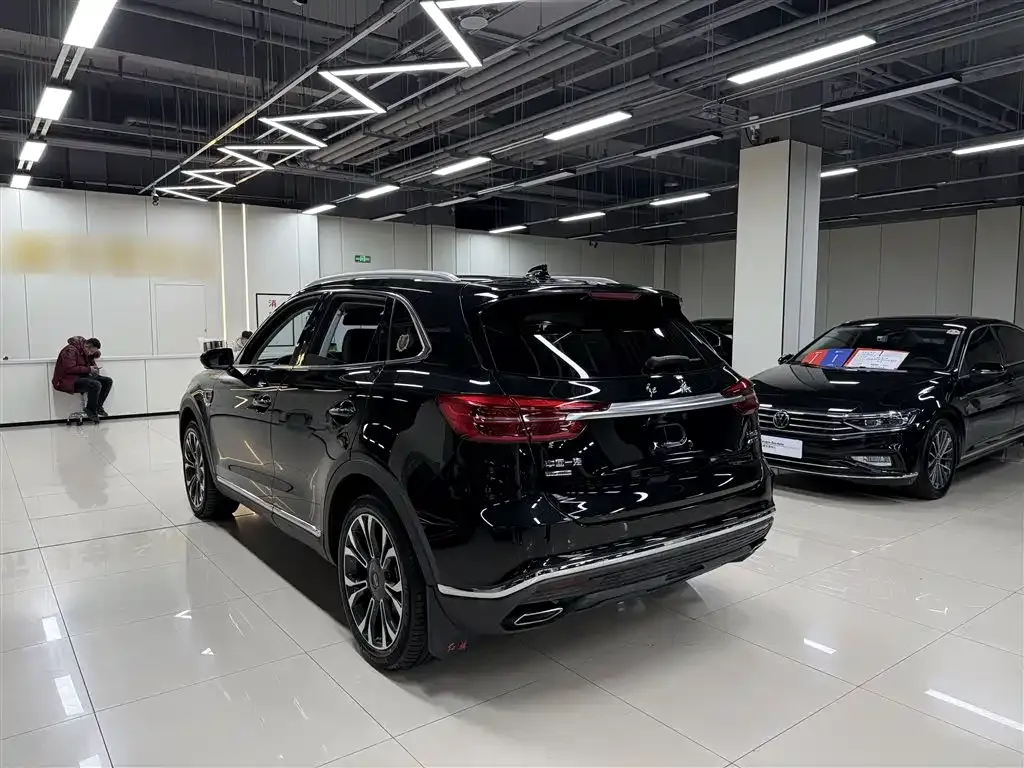 Hongqi HS5 2021 из CN, фото 10