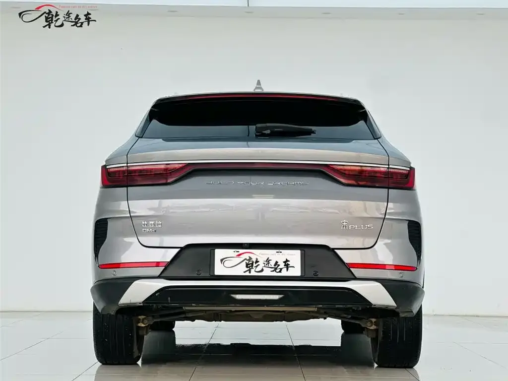BYD PLUS New Energy 2022 из CN, фото 5