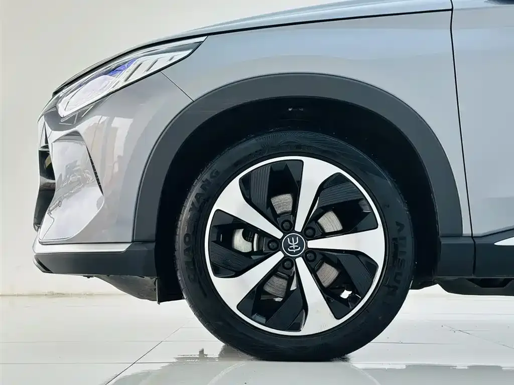 BYD PLUS New Energy 2022 из CN, фото 6