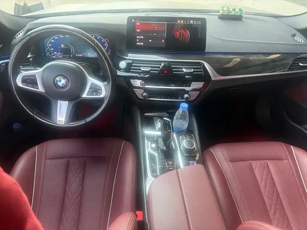 BMW 5 Series 2022 из CN, фото 6