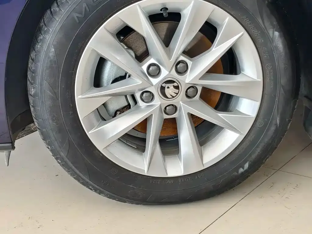 Skoda Octavia 2021 из CN, фото 6