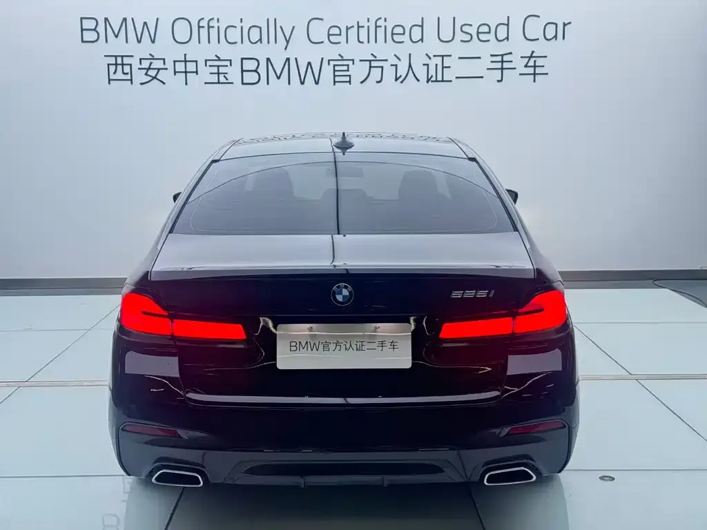 BMW 5 Series (Import) 2022 из CN, фото 5