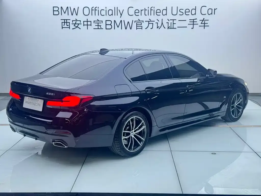 BMW 5 Series (Import) 2022 из CN, фото 4