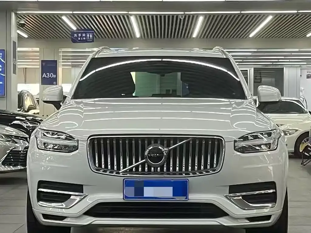 Volvo XC90 — фото 9