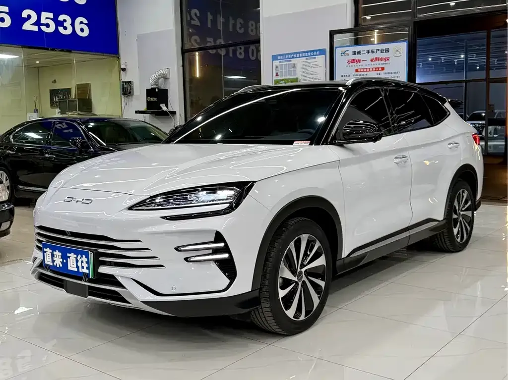 BYD PLUS New Energy 2024 из CN, фото 1
