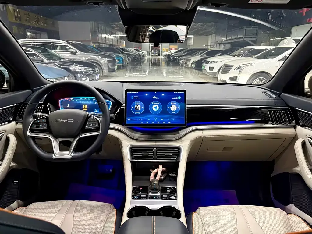 BYD PLUS New Energy 2024 из CN, фото 10