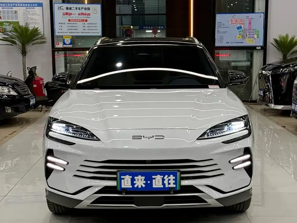 BYD PLUS New Energy 2024 из CN, фото 5