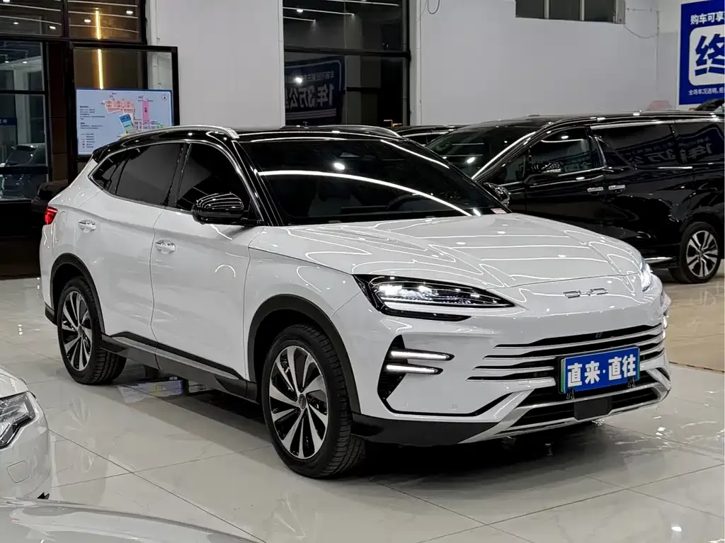 BYD PLUS New Energy 2024 из CN, фото 2