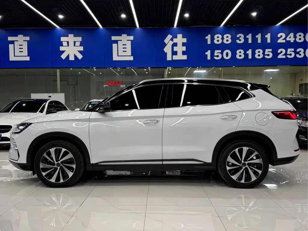 BYD PLUS New Energy 2024 из CN, фото 7