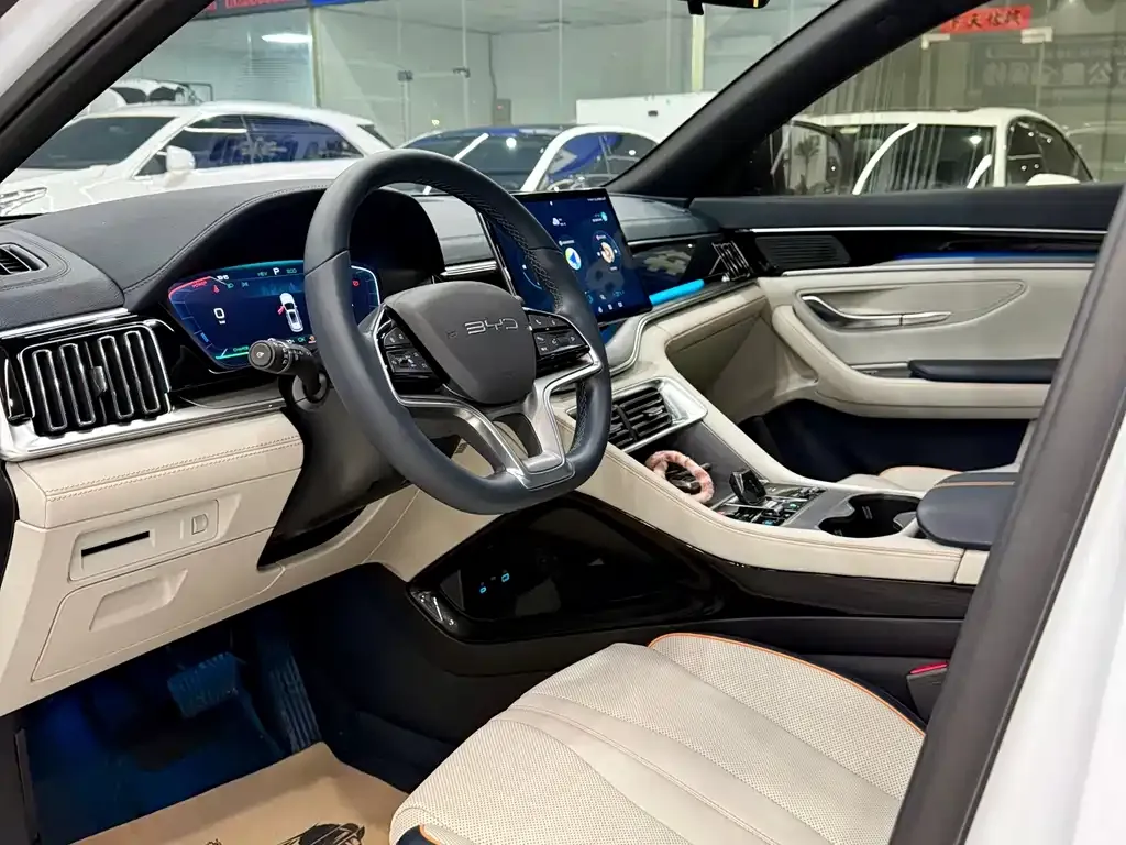 BYD PLUS New Energy 2024 из CN, фото 9