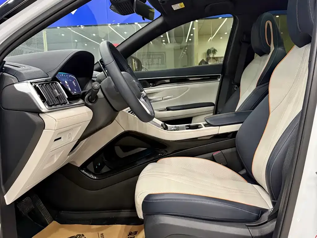 BYD PLUS New Energy 2024 из CN, фото 4