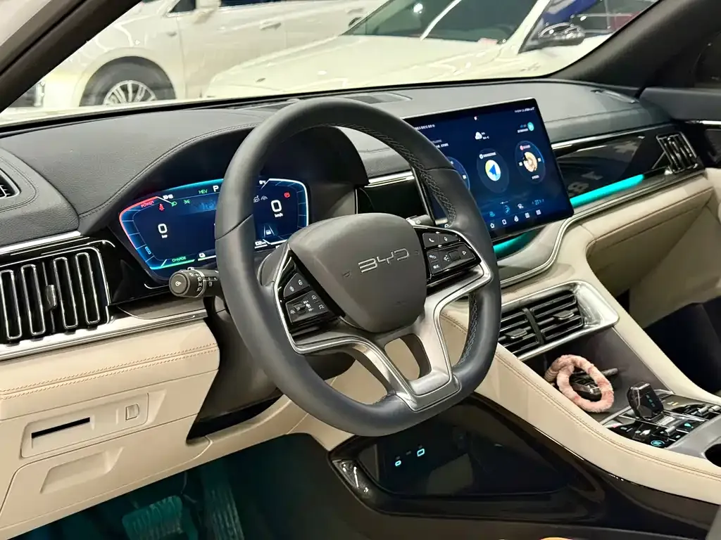 BYD PLUS New Energy 2024 из CN, фото 6