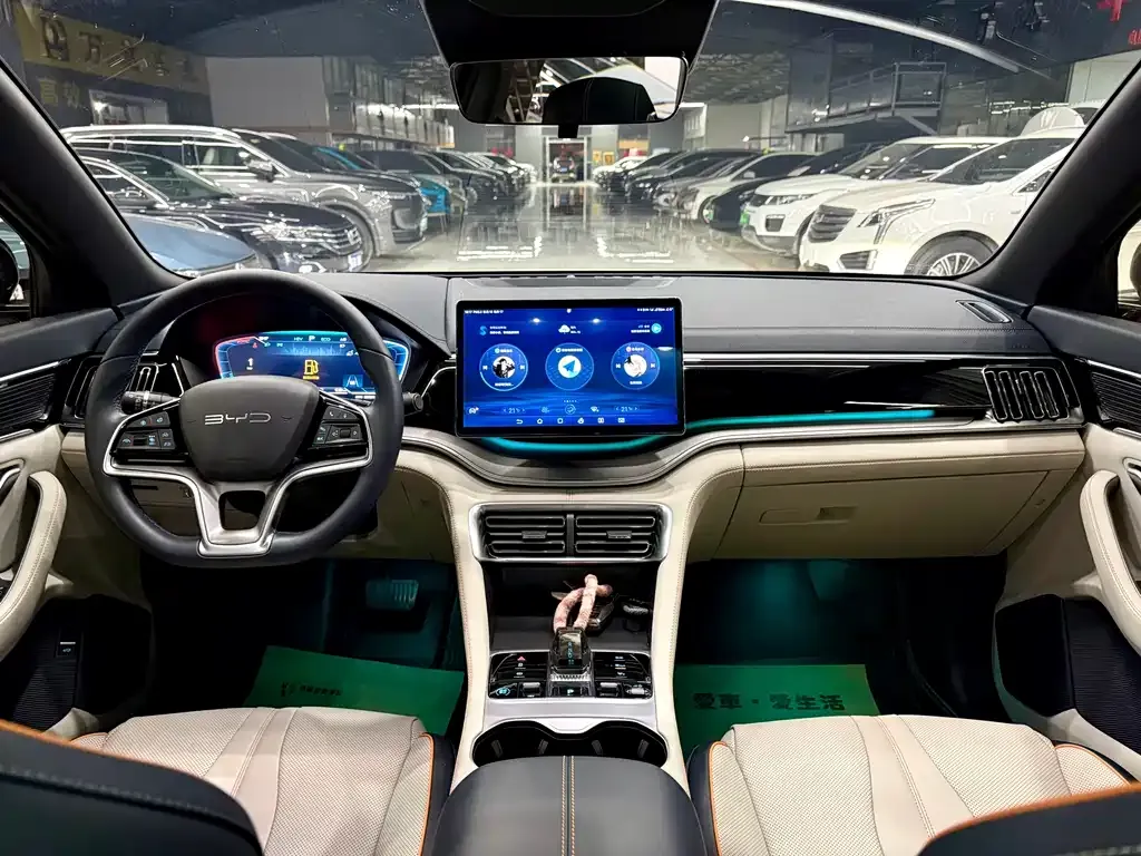 BYD PLUS New Energy 2024 из CN, фото 3
