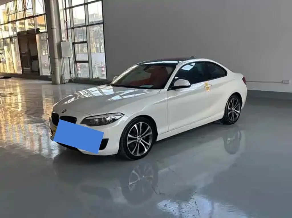 BMW 2 Series (Import) 2021 из CN, фото 1