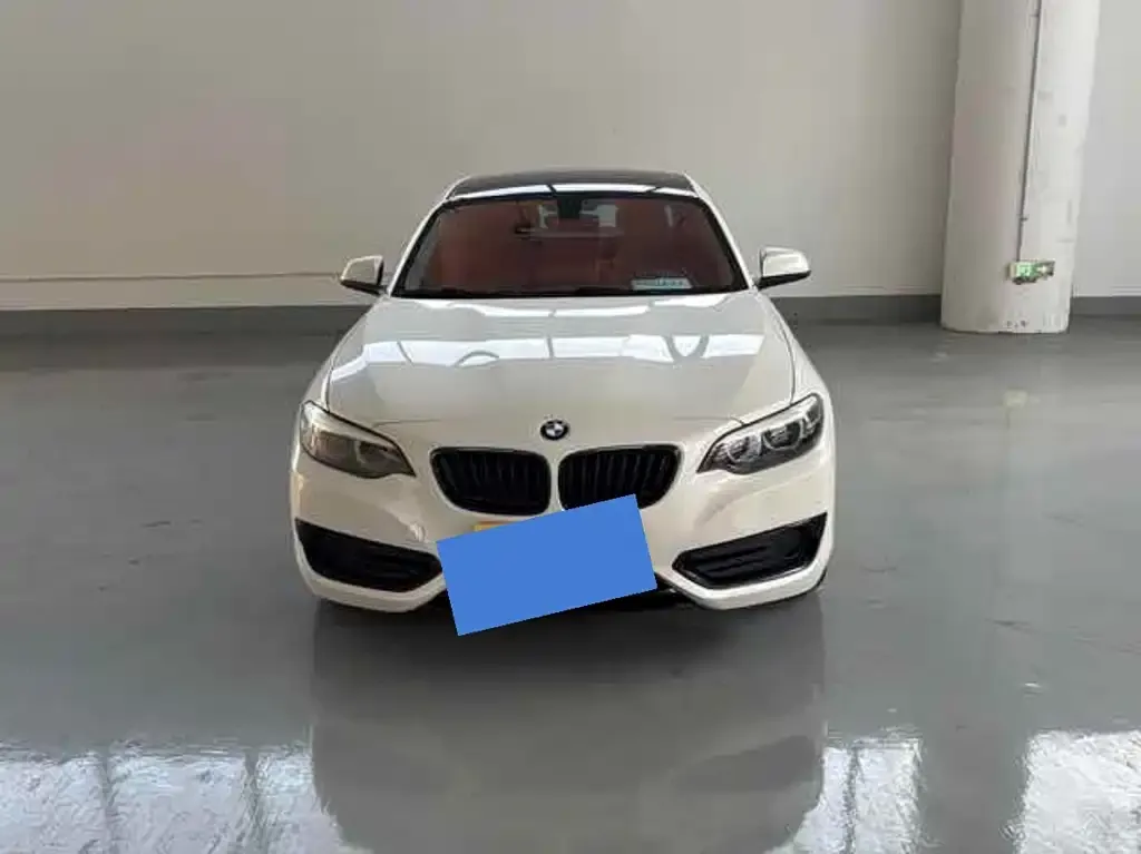 BMW 2 Series (Import) 2021 из CN, фото 2