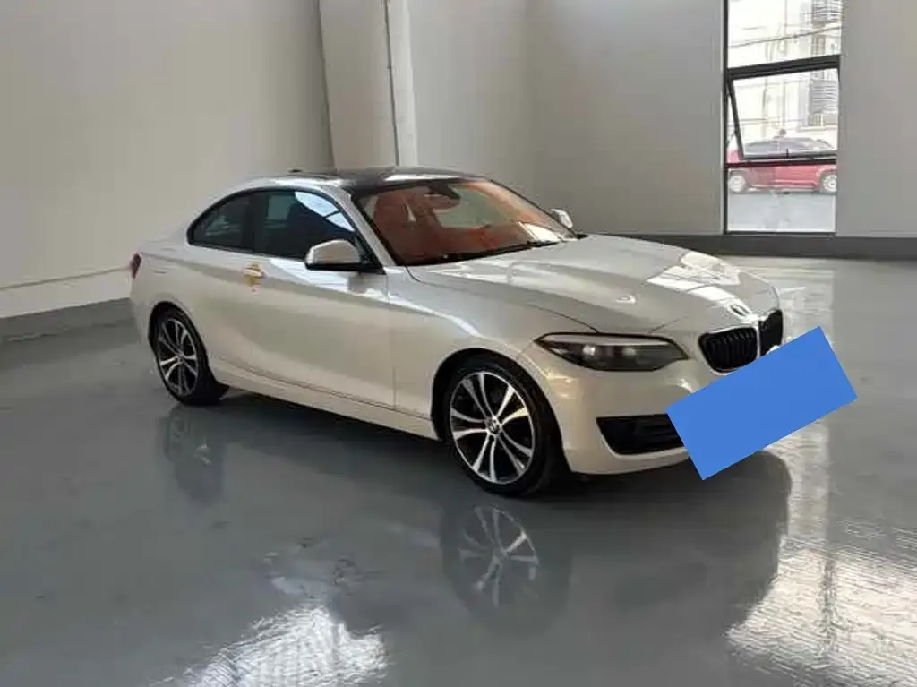 BMW 2 Series (Import) 2021 из CN, фото 3
